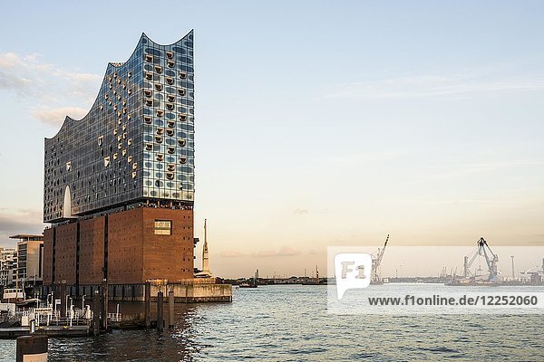 Elbphilharmonie im Abendlicht  Architekten Herzog & De Meuron  Hafencity  Hamburg  Deutschland  Europa