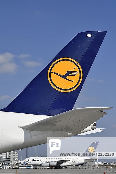 Zwei Airbus A380-800 Lufthansa auf Parkposition Logo auf Heckflügel Flughafen München Oberbayern Bayern Deutschland Europa