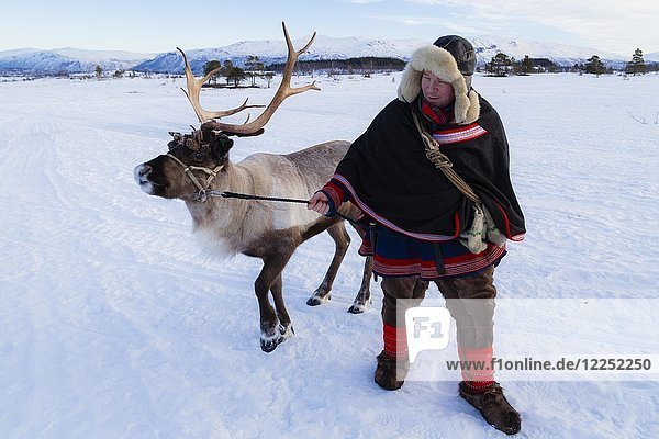 Mann in traditioneller samischer Kleidung  mit einem Rentier  Villmarkssenter  in der Nähe von Tromso  Norwegen  Europa