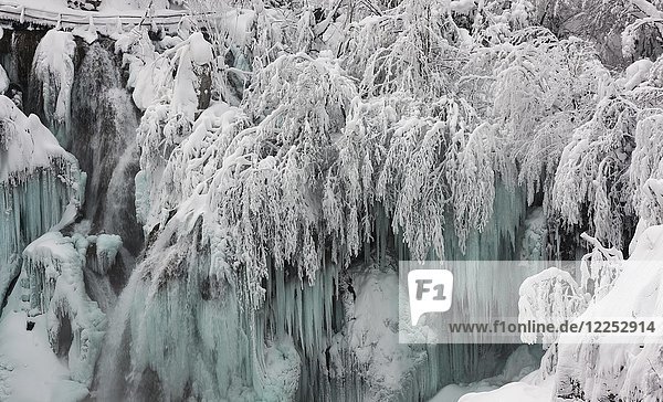 Gefrorener Wasserfall  Nationalpark Plitvicer Seen  Plitvice  Kroatien  Europa