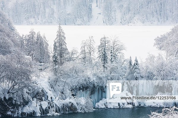 Vereiste Landschaft  Gefrorener Wasserfall und gefrorener See  Nationalpark Plitvicer Seen  Plitvice  Kroatien  Europa