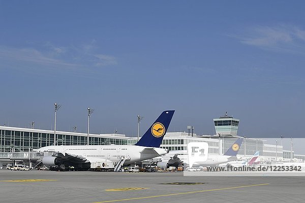 Flugzeug Airbus  A380-800  Lufthansa  an der Abfertigungsposition  Terminal 2  Flughafen München  Oberbayern  Bayern  Deutschland  Europa