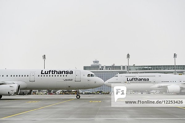 Neue Lufthansa-Lackierung  neues Lufthansa Branding  Boeing B747-800 und Airbus A321  Flughafen München  Oberbayern  Deutschland  Europa