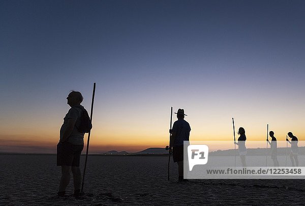 Volunteers at dawn at the Laguna de Fuente de Piedra  waiting for the start of the immature Greater Flamingo (Phoenicopterus roseus) capture event in order to ring them  Malaga province  Andalusia  Spain  Europe
