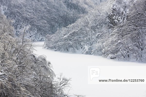 Vereiste Landschaft  zugefrorener See  Nationalpark Plitvicer Seen  Plitvice  Kroatien  Europa