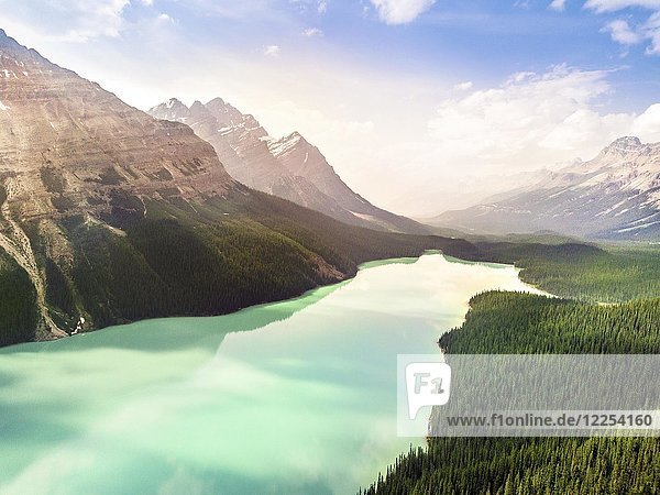 Turquoise Peyto Lake in Banff National Park  Rockies Mountains  Alberta  Canada  North America