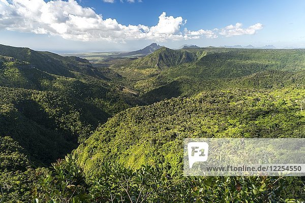 Blick über die Schlucht im Black River Gorges National Park  Mauritius  Afrika