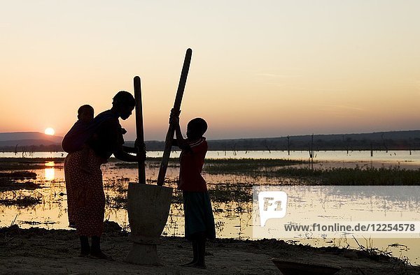 Tonga-Frauen bei Sonnenuntergang  beim Stampfen von Getreide am Ufer des Kariba-Sees  Sambia  Afrika