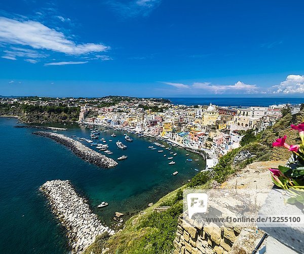 Blick auf die Insel Procida mit ihren bunten Häusern  dem Hafen und der Marina di Corricella  Insel Procida  Phlegräische Inseln  Golf von Neapel  Kampanien  Italien  Europa