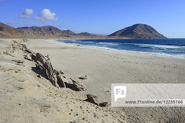 Lonely sandy beach on the Pacific Ocean  Pan de Azúcar National Park  near Chañaral  Región de Atacama  Chile  South America