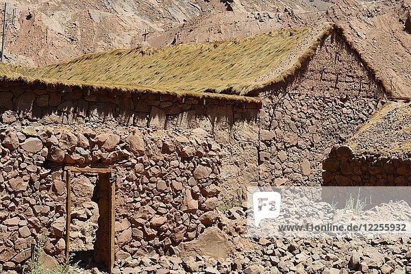 Einfaches Haus mit Strohdach  Santiago de Rio Grande  El Loa  Antofagasta  Chile  Südamerika