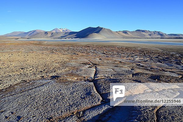 Lagune Salar de Talar mit den Bergen Cerros de Incahuasi  Paso de Sica  Region Antofagasta  Chile  Südamerika