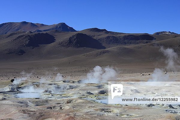 Sol de Mañana  the highest geothermal field in the world  Reserva Nacional de Fauna Andina Eduardo Abaroa  Sur Lípez  Potosí  Bolivia  South America