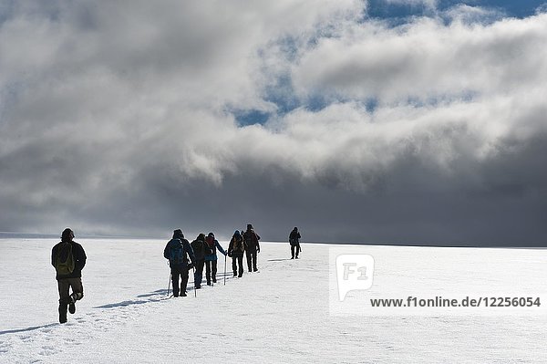 Wandergruppe geht auf den Gletscher Foxfonna  in der Nähe von Longyearbyen  Spitzbergen  Svalbard  Norwegen  Europa