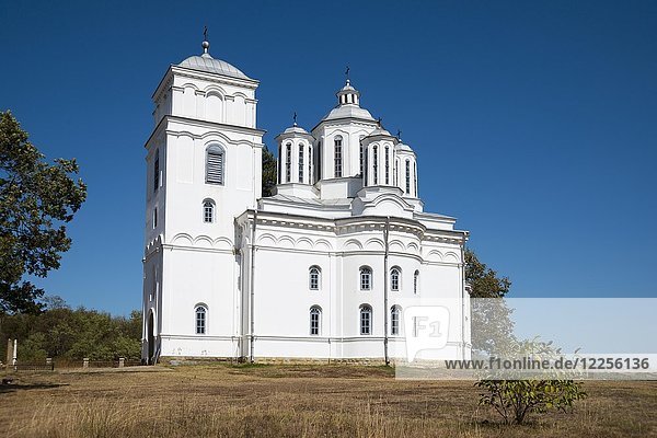 Serbian Orthodox Church of St. Michael and Gabriel Archangel  Kondzelj  Serbia  Europe