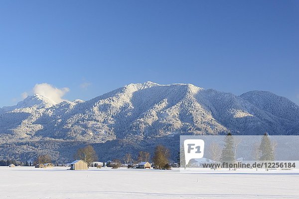 Bendiktenwand und Rabenkopf  im Winter  bei Großweil  Oberbayern  Bayern  Deutschland  Europa
