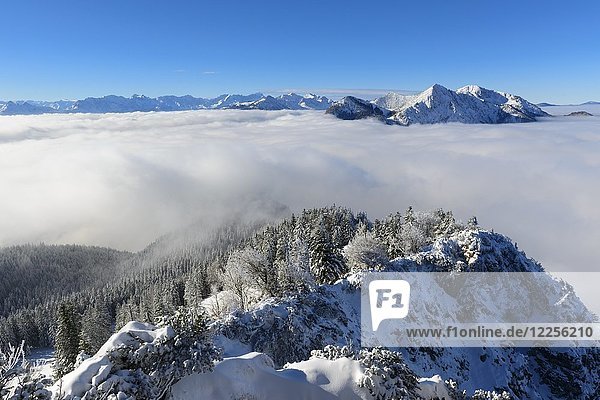 Blick vom Jochberg bei Kochel am See auf das Wettersteingebirge mit Zugspitze  Estergebirge und Herzogstand und Heimgarten  im Winter  Oberbayern  Bayern  Deutschland  Europa