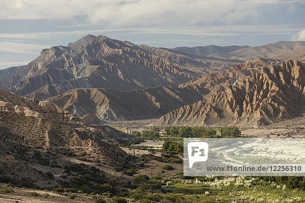 Grünes Tal in bizarrer  karger Berglandschaft  Hochebene  Cachi  Departamento Rosario de Lerma  Provinz Salta  Argentinien  Südamerika
