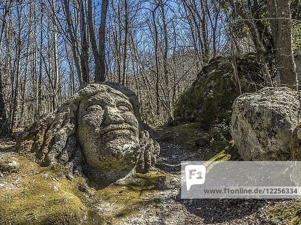 Großes Gesicht aus Tuffstein im Wald Falanga  Ischia  Kalabrien  Italien  Europa