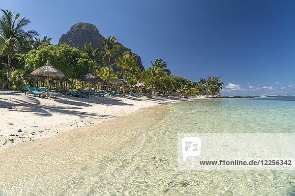 Strand mit Palmen  im Hintergrund der Berg Le Morne Brabant  Halbinsel Le Morne  Black River  Mauritius  Afrika