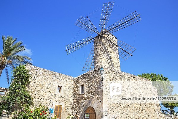 Windmühle in Sineu  Mallorca  Spanien  Europa