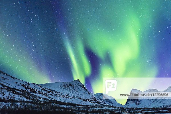 Nordlicht (Aurora borealis) über den Bergen  Kebnekaise Fjällstation  Kungsleden oder Königsweg  Provinz Lappland  Schweden  Skandinavien  Europa