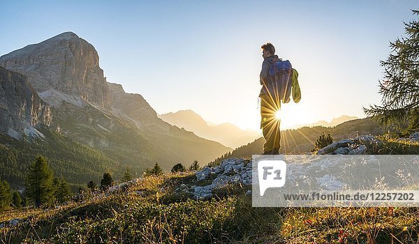 Hiker looking into the distance  sunrise  solar reflex in front of the Col dei Bos and Tofane peaks  Falzarego Pass  Dolomites  South Tyrol  Trentino-Alto Adige  Italy  Europe
