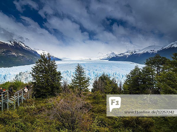 Perito Moreno  EL Calafate  Calafate  Provinz Santa Cruz  Patagonien  Argentinien  Südamerika