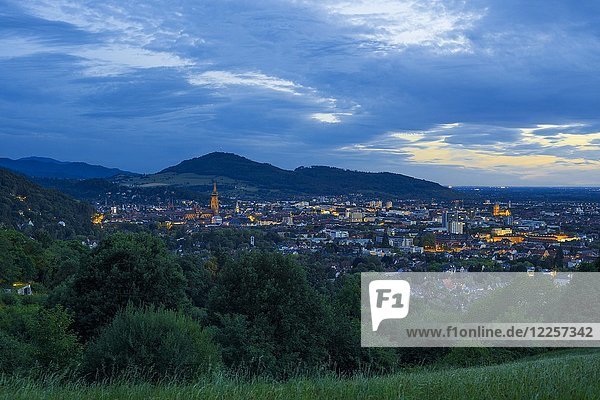 Stadtansicht in der Abenddämmerung  Freiburg im Breisgau  Baden-Württemberg  Deutschland  Europa
