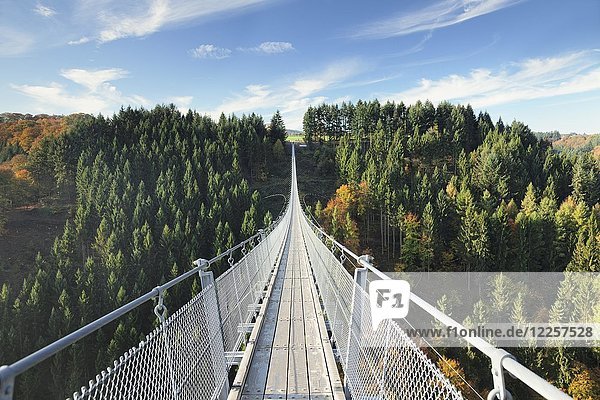 Hängeseilbrücke Geierlay  Mörsdorfer Bachtal  Mörsdorf  Hunsrück  Rheinland Pfalz  Deutschland  Europa