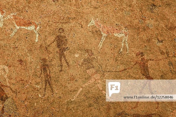 White Lady  berühmte Felsmalerei in der Tsisab-Schlucht  Brandberg  Erongo-Region  Namibia  Afrika