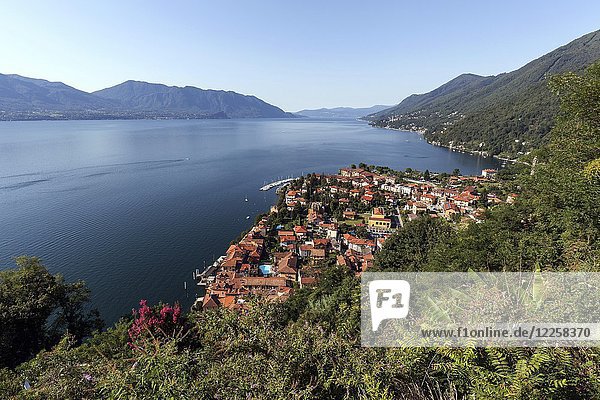 View of Cannero Riviera and Lago Maggiore  Verbano-Cusio-Ossola Province  Piedmont Region  Italy  Europe
