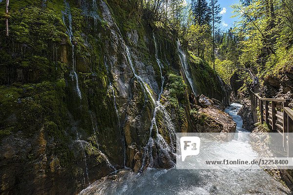 Kleine Wasserfälle und Wimbach in der Wimbachschlucht  Wimbachtal  Ramsau bei Berchtesgaden  Berchtesgadener Land  Oberbayern  Bayern  Deutschland  Europa