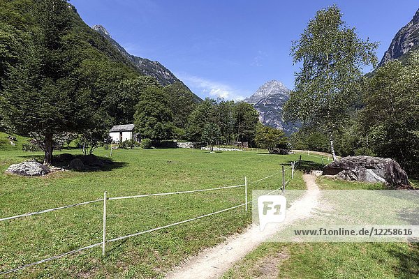 Wanderweg entlang der Verzasca zwischen Lavertezzo und Brione  Verzascatal  Valle Verzasca  Kanton Tessin  Schweiz  Europa