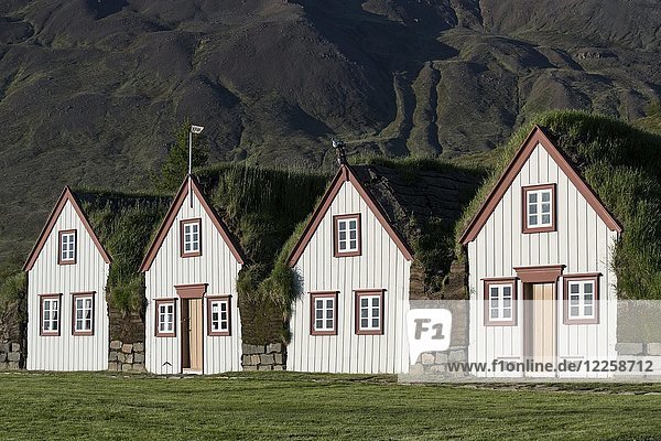 Alte isländische Torfhäuser Laufás  Freilichtmuseum  Eyjafjörður  Nordisland  Island  Europa