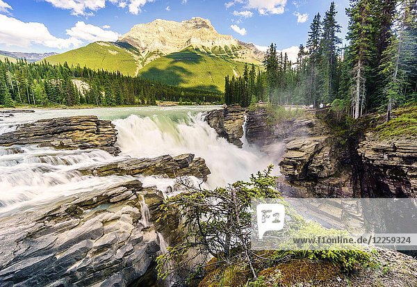Athabasca Waterfalls  Athabasca river  Jasper National Park  Alberta  Canada  North America