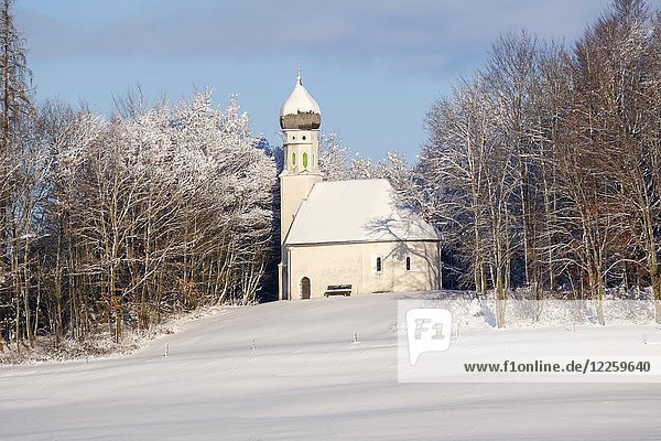 Kapelle St. Georg  Schimmelkapelle im Winter  Georgibichl bei Ascholding  bei Dietramszell  Oberbayern  Bayern  Deutschland  Europa