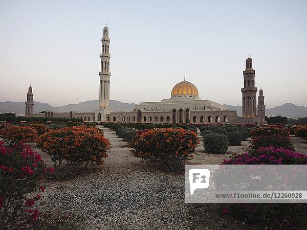 Abendstimmung  Große Sultan-Qabus-Moschee  Garten mit blühendem Rhododendron  Muscat  Oman  Asien
