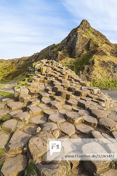 Giant's Causeway  Nordirland  Vereinigtes Königreich  Europa