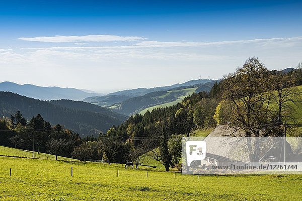 Blick auf hügelige Landschaft mit Bauernhaus  Lindenberg bei St. Peter  Schwarzwald  Baden-Württemberg  Deutschland  Europa
