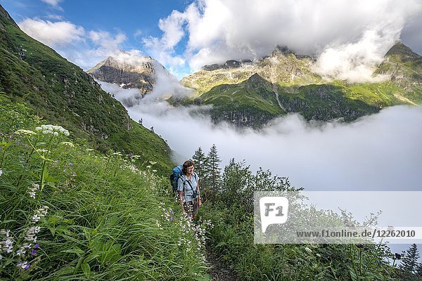 Wanderer auf Wanderweg zwischen Blumen auf dem Greifenberg  Schladminger Höhenweg  Schladminger Tauern  Schladming  Steiermark  Österreich  Europa
