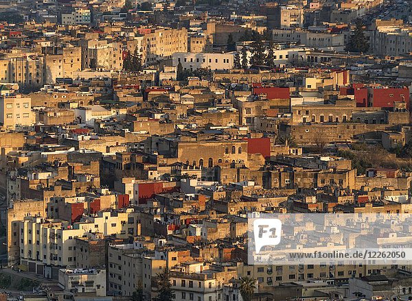 Blick über die Medina  Fes  Marokko  Afrika