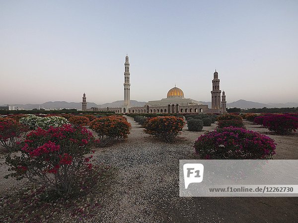 Abendstimmung  Große Sultan-Qabus-Moschee  Garten mit blühendem Rhododendron  Muscat  Oman  Asien