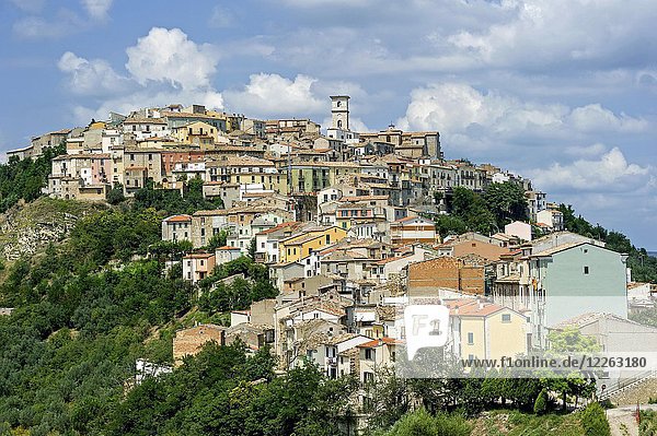 Blick auf die Altstadt auf einem grünen Hügel  Trivento  Molise  Italien  Europa