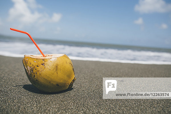 Cuba  Coconut with straw on a beach