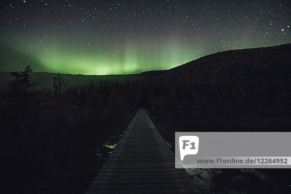 Canada  British Columbia  Liard River Hot Springs Provincial Park  Northern Lights  starry sky at night