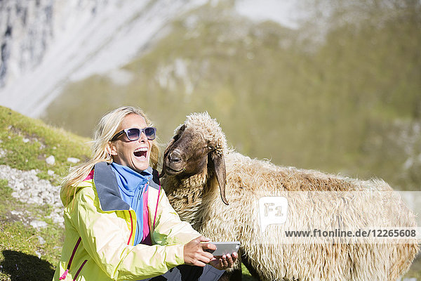 Wanderer mit Schafen  Selfie  lachend