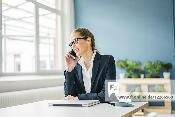 Businesswoman working from home  talking on the phone