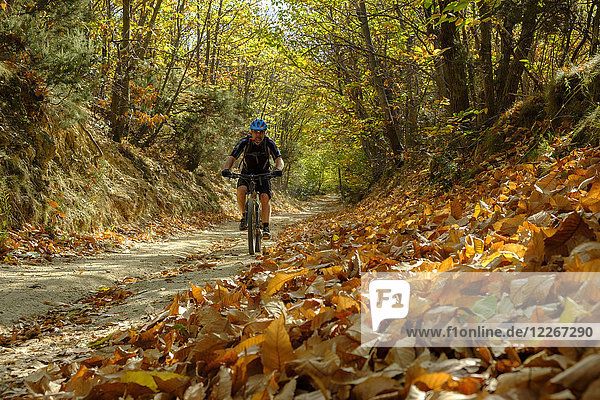 Italy  Liguria  Finale Ligure  Mountainbiker at ravine in autumn