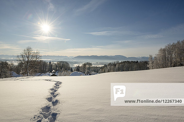 Deutschland  Bayern  Eurasburg  Blick ins Loisachtal  Fußspuren im Winter